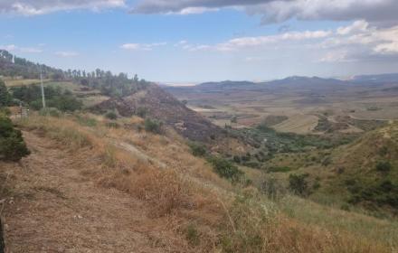  area archeologica Morgantina 
