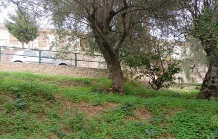 Consolidamento Sinagra