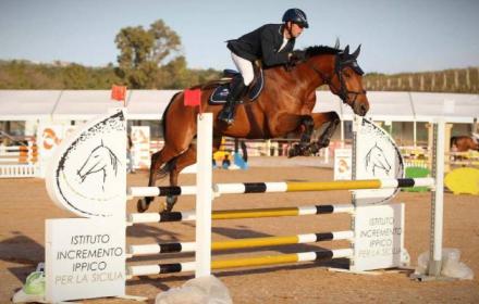 Istituto incremento ippico per la Sicilia