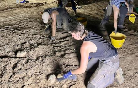Scavi nel sito archeologico di Himera