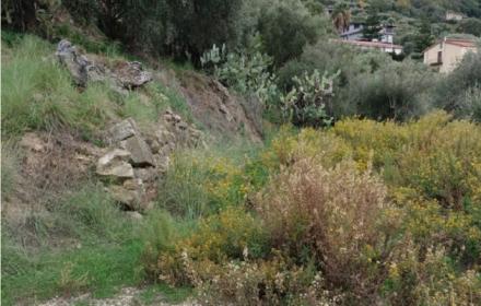 Sinagra dissesto