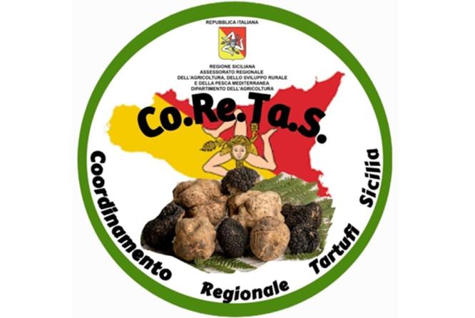 Coordinamento Regionale Tartufi Sicilia